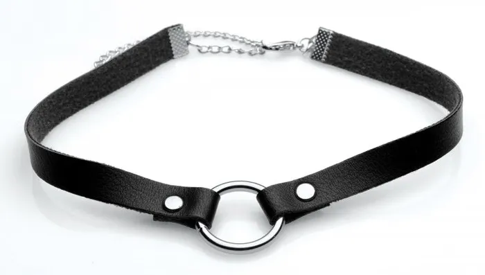 Male Sex Toys Master Series Lush Pet Silver Ring Slim Choker XR Brands