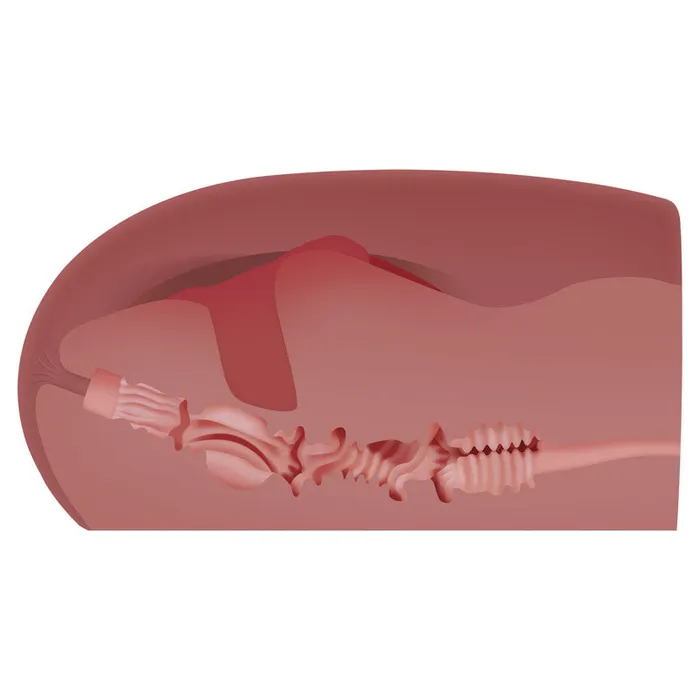 Male Sex Toys | Zero Tolerance Zero Tolerance Kira Noir Dual Stroker-(ze-ms-7990-2) Male Sex Toys | Zero Tolerance Zero Tolerance Kira Noir Dual Stroker-(ze-ms-7990-2)
