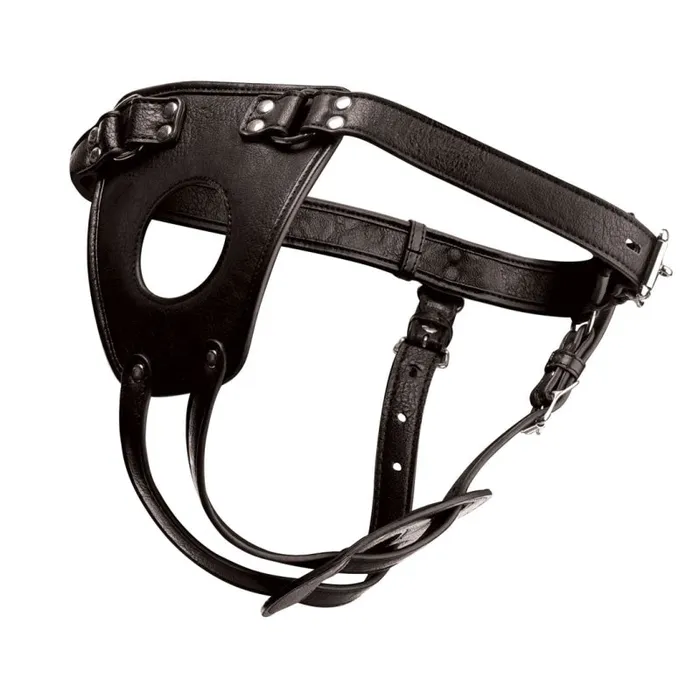 XR Brands Master Series Male Sex Toys Ass Holster Anal Plug Harness