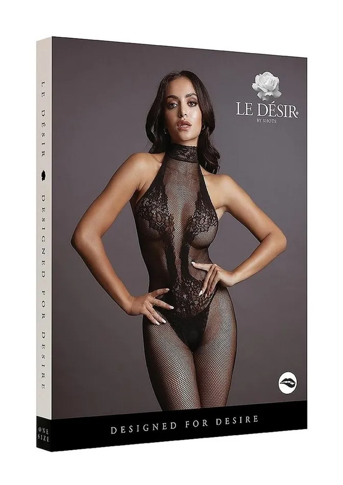 Bodystockings Playsuits Le Desir Le Desir Fishnet and Lace Bodystocking
