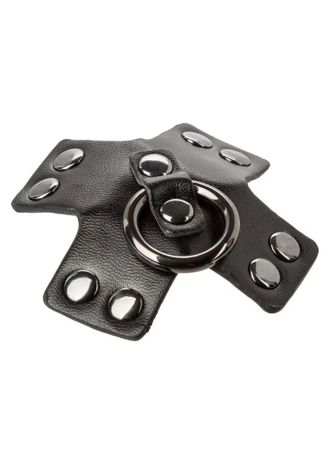 Male Sex Toys Euphoria Collection ORing Pasties EUPHORIA